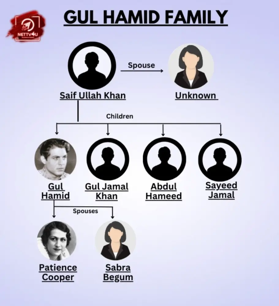 Hamid Family Tree 