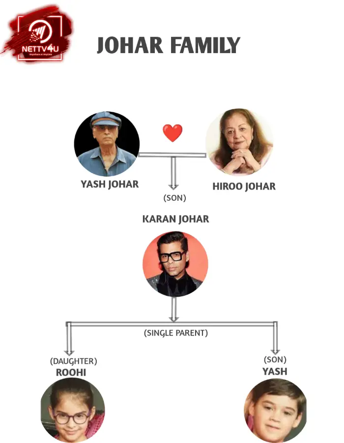 Johar Family Tree (Infographic Family Tree)