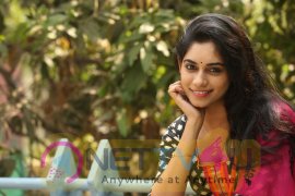  Actress Shruthi Mol Hot And Sexy Photos Gallery Telugu Gallery