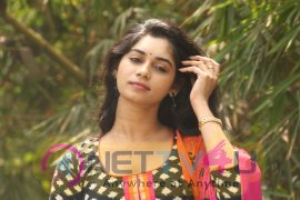  Actress Shruthi Mol Hot And Sexy Photos Gallery Telugu Gallery