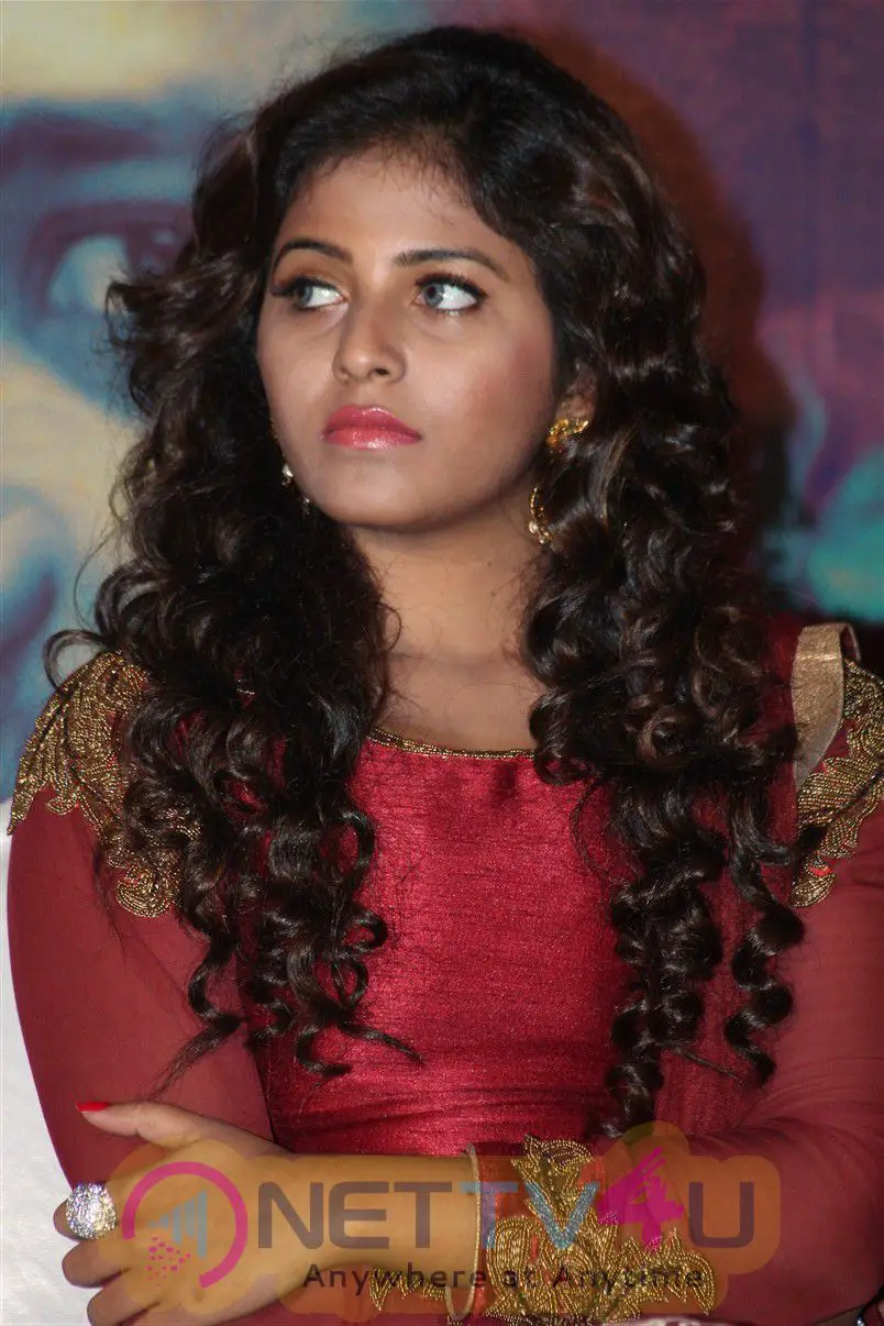  Tamil Actress Anjali Gallery Stills Image Clips Tamil Gallery