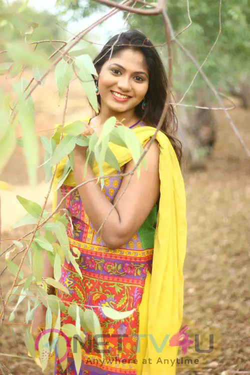  Tamil Actress Shruthi Reddy New Photo Shoot Images Tamil Gallery