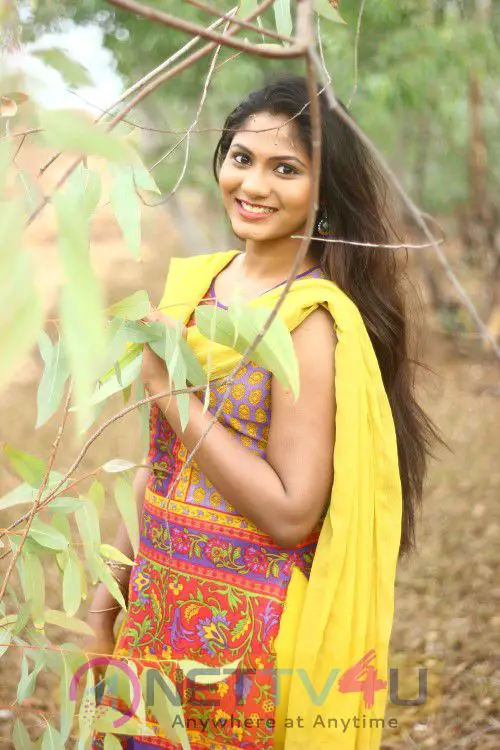  Tamil Actress Shruthi Reddy New Photo Shoot Images Tamil Gallery