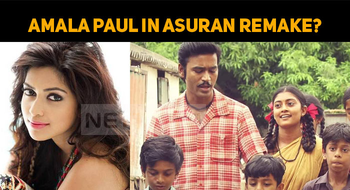 Amala Paul Gets A Role In Asuran Remake?