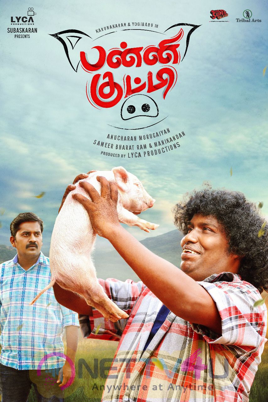 Panni Kutty Movie Posters Tamil Gallery