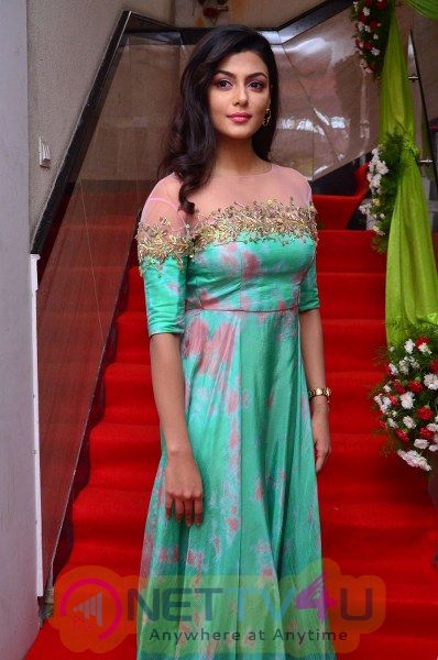 Anisha Ambrose Stuns In Green Outfit Gorgeous Stiils Telugu Gallery