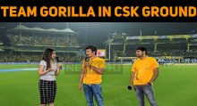 Team Gorilla In CSK Ground!