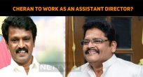 Cheran To Work As An Assistant Director?