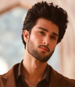 Arman Ali Pasha Urdu TV-Actor