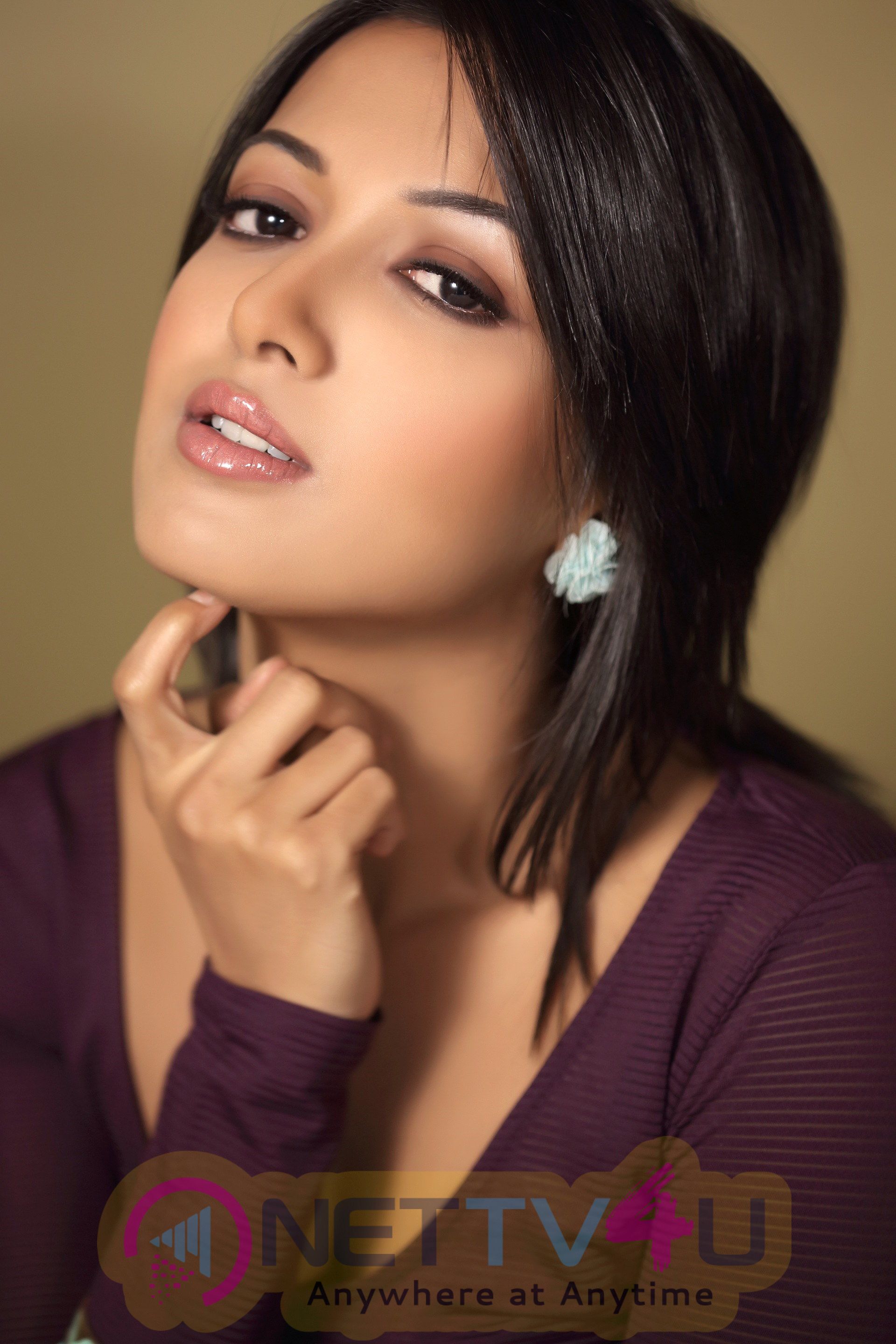 catherine tresa in madras saree