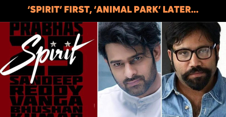 ‘Spirit’ Will Be Completed Before ‘Animal Park’: Sandeep Vanga Telugu News
