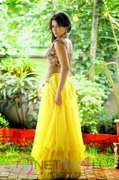 Catherine Tresa Stuns In Yellow Outfit Gorgeous Pics Telugu Gallery