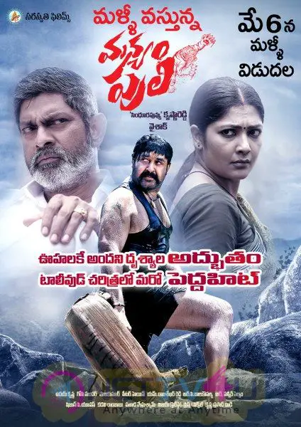 Manyam Puli Re Release Stunning Posters Telugu Gallery