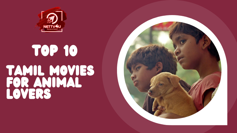 Top 10 Tamil Movies For Animal Lovers Tamil Article