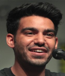 Rahul Kohli English Movie Actor