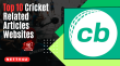 Top 10 Cricket Related Articles Websites English Article
