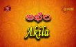 Akila Telugu tv-serials on Gemini TV