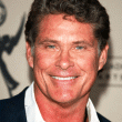 David Hasselhoff English Movie Actor