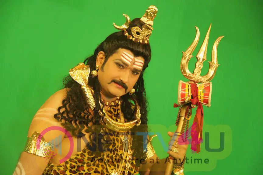 Telugu Movie Neelampati Ammoru Movie Dazzling Stills Telugu Gallery