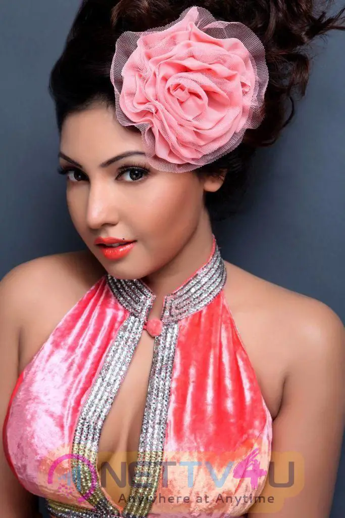 Actress Komal Jha Hot & Sexy Photos Telugu Gallery
