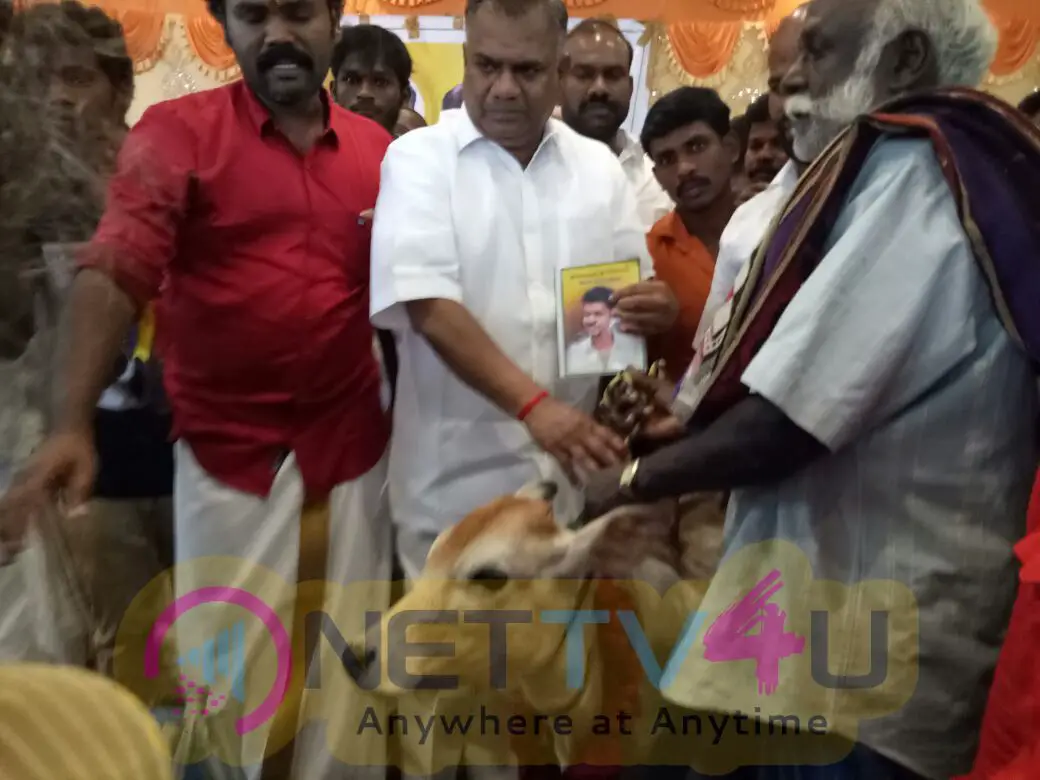 Thalapathy Vijay Fans Club Welfare Activities Tamil Gallery