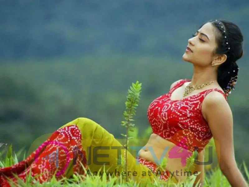 Actress Adhithi Sharma Hot Ans Sexy Pics Telugu Gallery