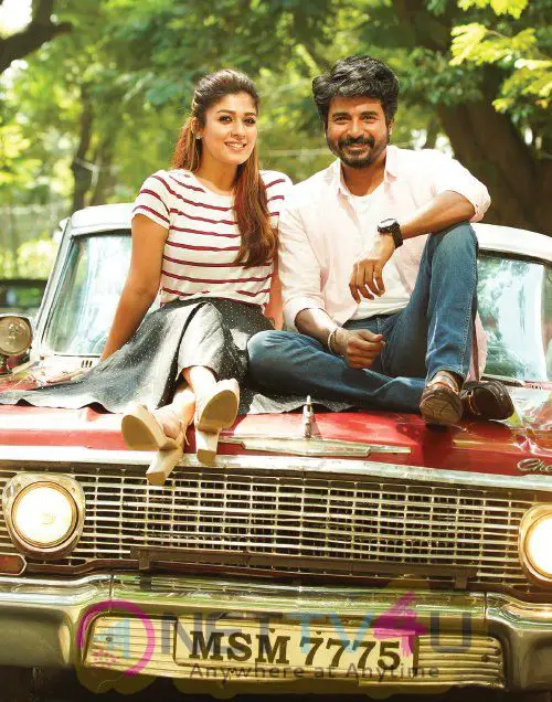 Mr. Local Movie HD Exclusive Images  Tamil Gallery