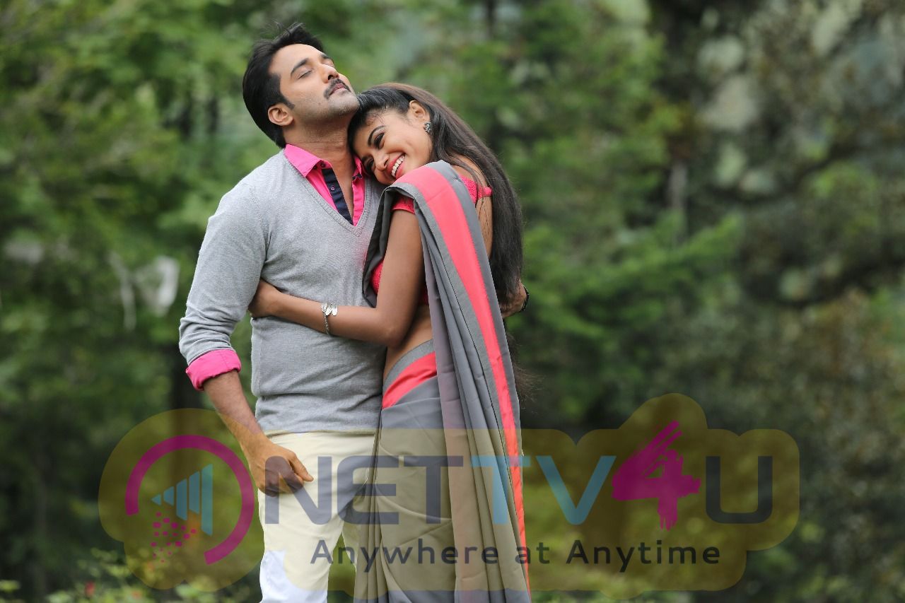 Idi Naa Love Story Movie Stills  Telugu Gallery