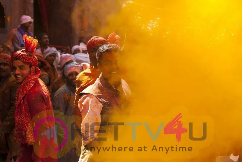 Cheliyaa Movie New  Stunning Photos  Telugu Gallery