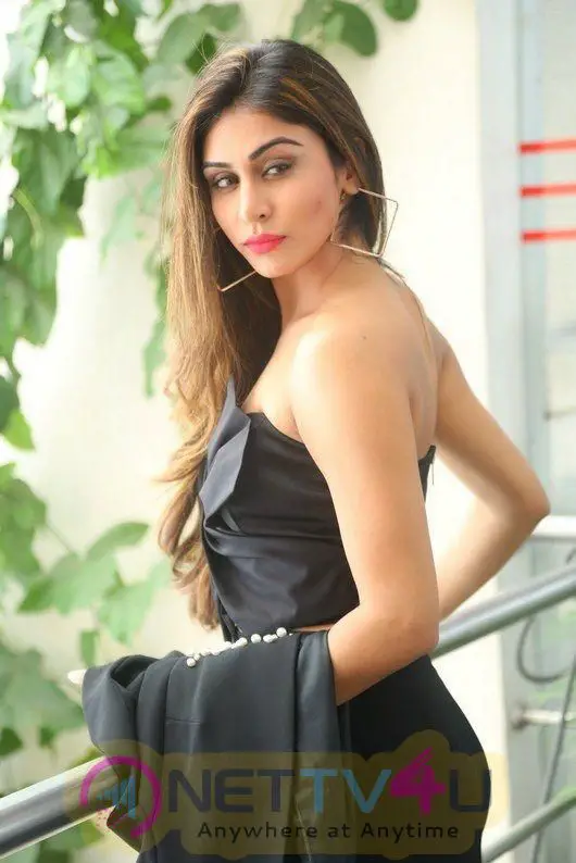 Actress Myra Sareen Hot And Attractive Images Telugu Gallery