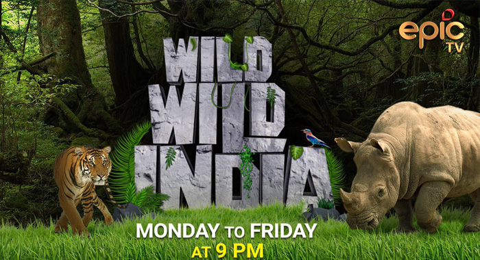 Wild Wild India  Hindi TV SHOWS on Epic Channel