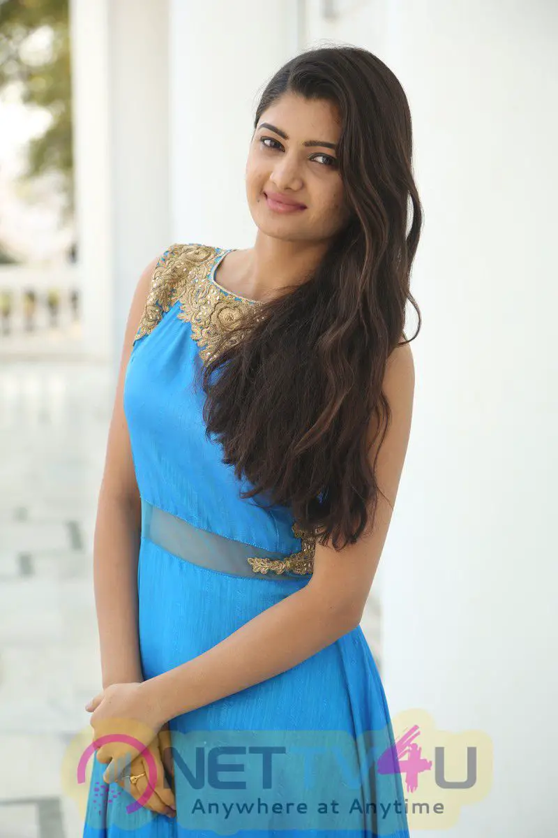 Actress Akshitha Latest Photshoot Images Telugu Gallery