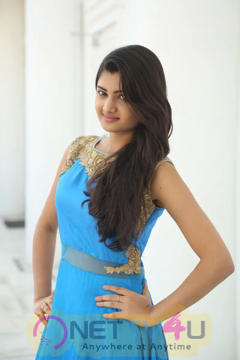 Actress Akshitha Latest Photshoot Images Telugu Gallery