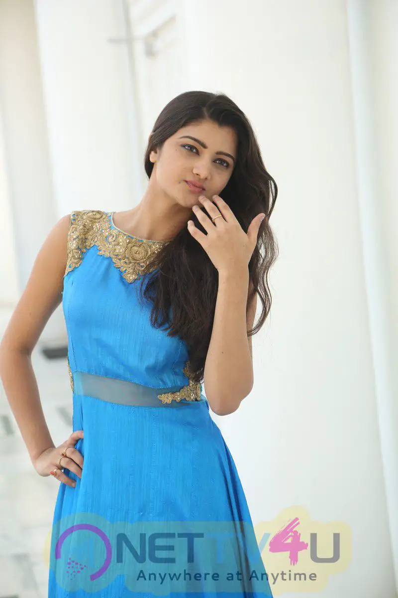 Actress Akshitha Latest Photshoot Images Telugu Gallery