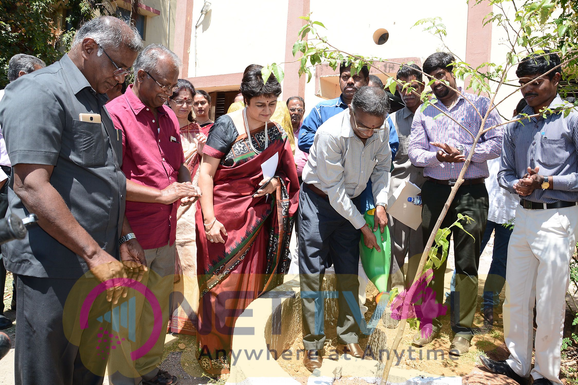 YMCA Madras & Soroptimist Chennai Organises Tree Sapling Planting Event Stills Tamil Gallery