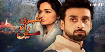 Teri Raah Main Rul Gai