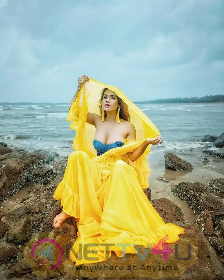 Actress Neha Malik Sexy Photos Hindi Gallery