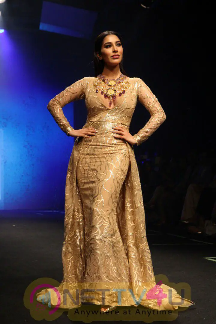 Sophie Choudry Walks On Ramp For Abha Choudhary At LFW Summer 2017 Photos Hindi Gallery
