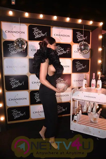 Sonam Kapoor Hot Cleavage At Launch Of Chandon The Party Starter Hindi Gallery