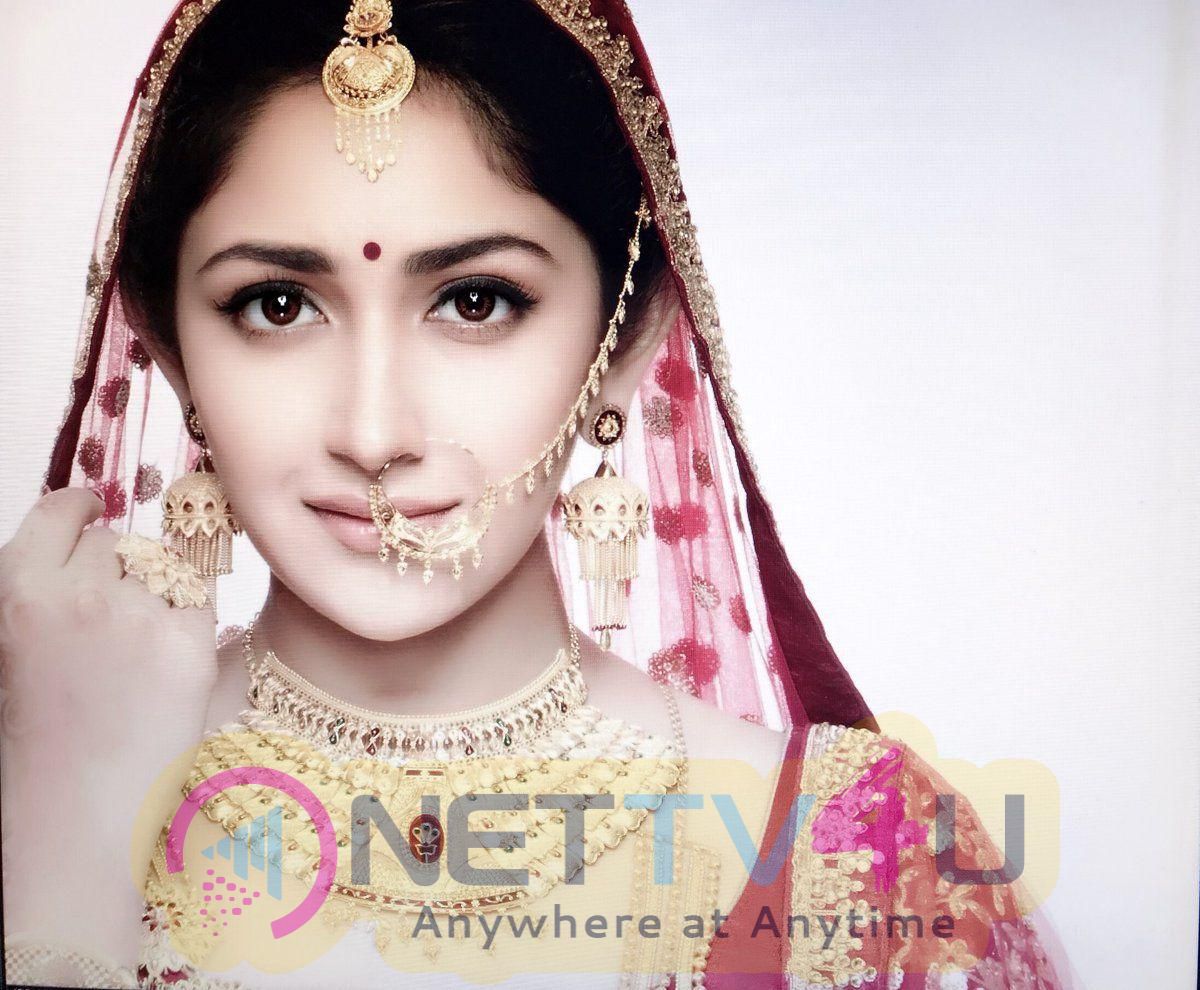 Sayyeshaa Saigal Images Tamil Gallery