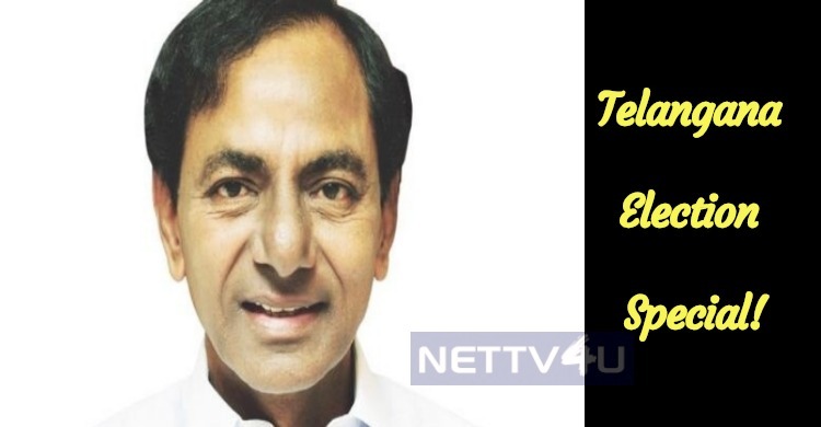 Telangana Election Special!