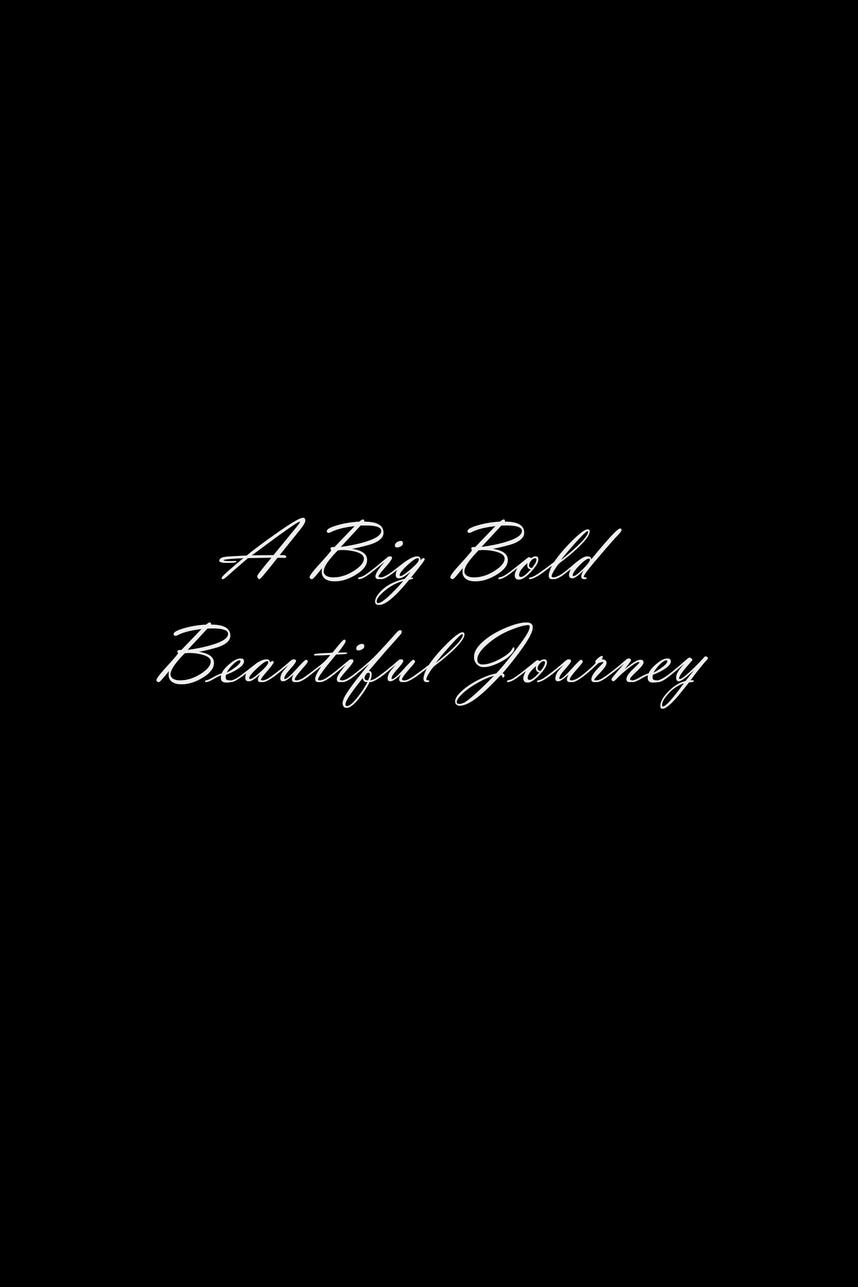 A Big Bold Beautiful Journey Movie Review