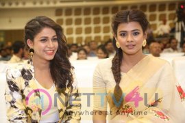 Mister Movie Audio Launch Grand Pics  Telugu Gallery