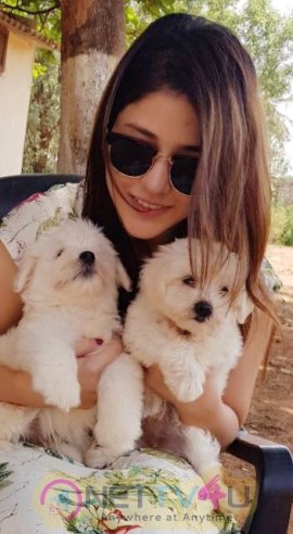 Actress Priyanka Jawalkar Cute Stills