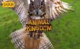 Animal Kingdom