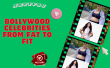 Bollywood Celebrities From Fat To Fit Hindi Article