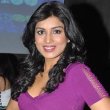 Pallavi Bhattacharya Hindi Movie Actress