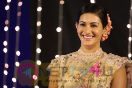 Amyra Dastur Photos Hindi Gallery