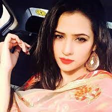 Urdu Actress Hira Sheikh