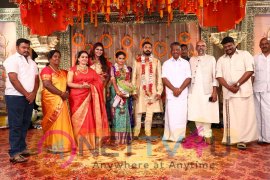 Parthiban Daughter Keerthana And Akshay Wedding Images Tamil Gallery